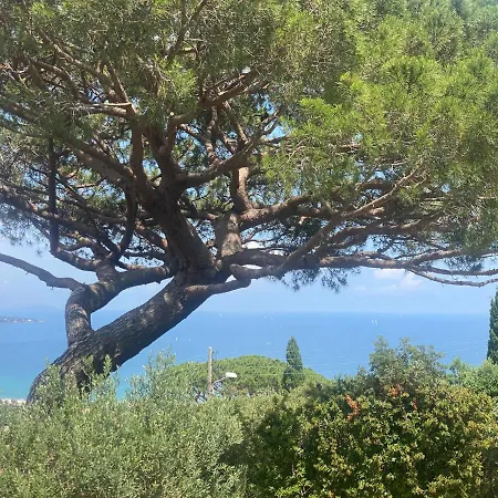 Villa L'aurore *